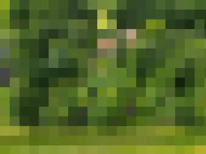 Scheidingsweg 40 Een-West thumbnail 43