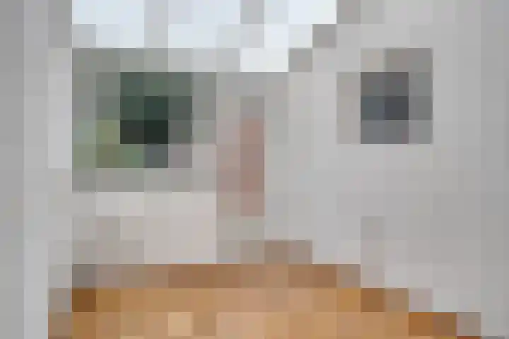 Scheidingsweg 49 Roermond thumbnail 19