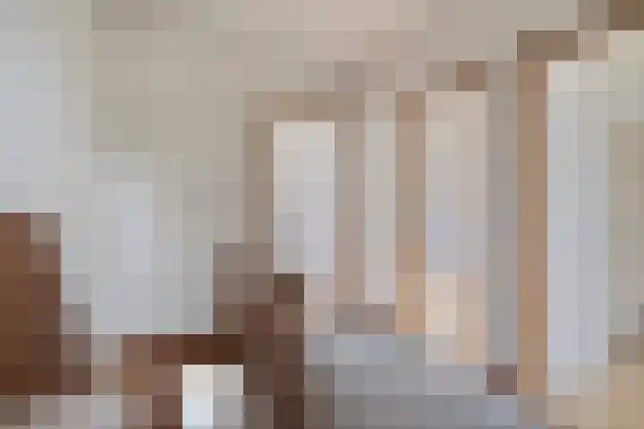 Scheidingsweg 49 Roermond thumbnail 22