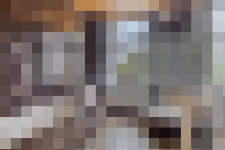 Scheidingsweg 49 Roermond thumbnail 29