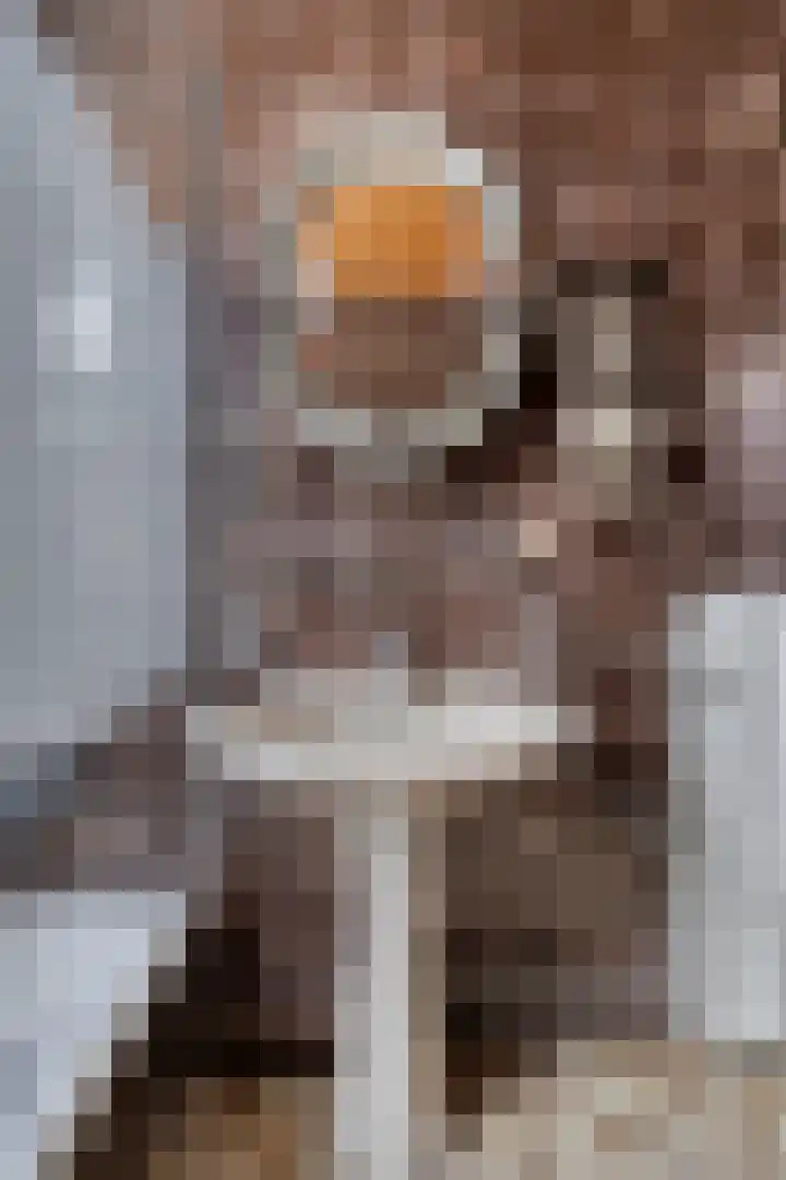 Scheidingsweg 49 Roermond thumbnail 31