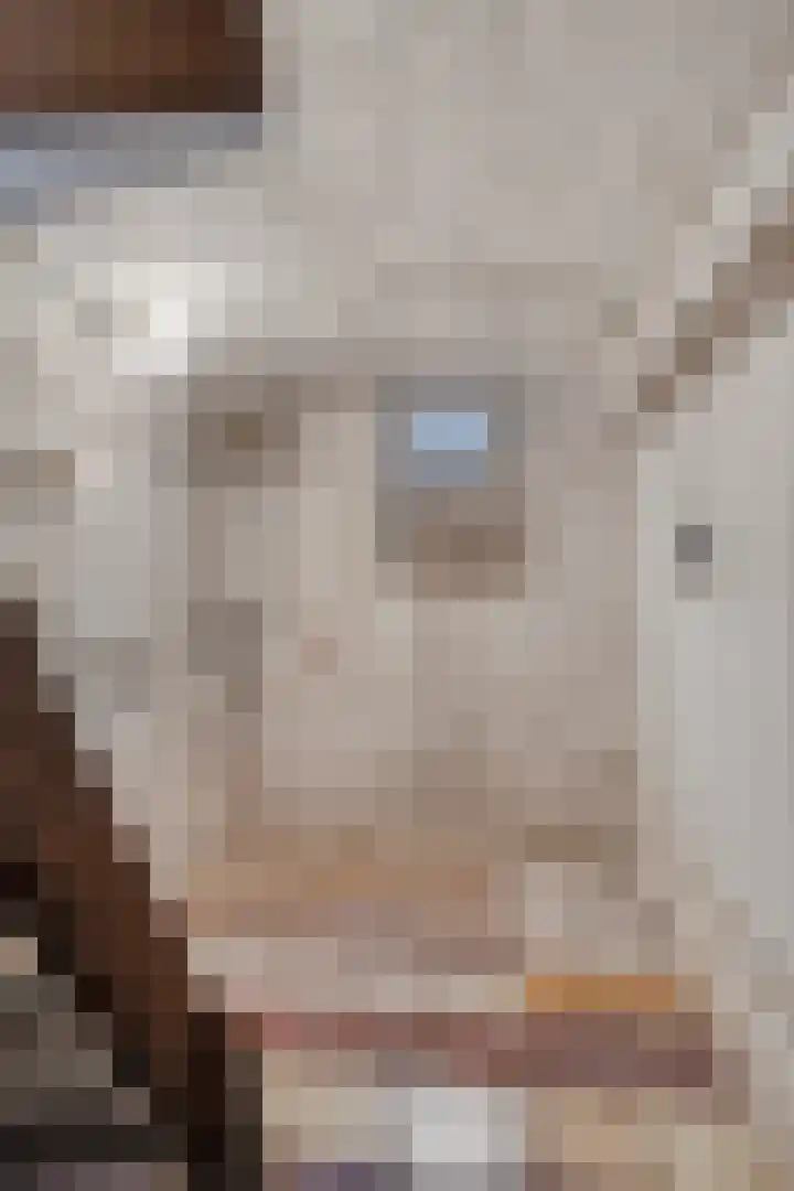 Scheidingsweg 49 Roermond thumbnail 33