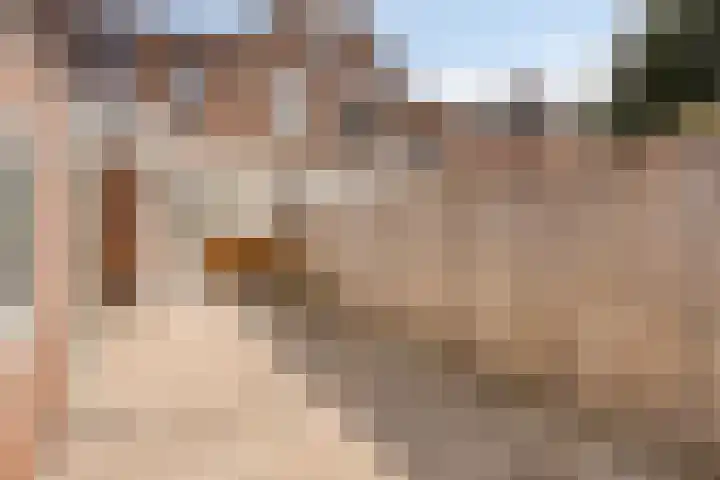 Scheidingsweg 49 Roermond thumbnail 34