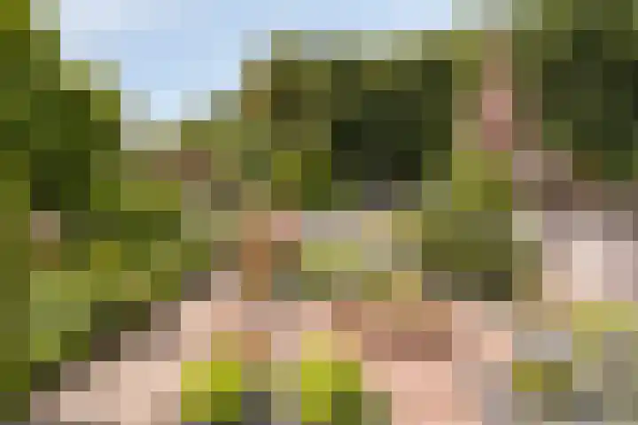 Scheidingsweg 49 Roermond thumbnail 38