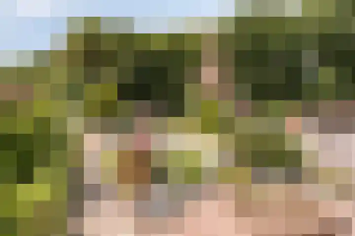 Scheidingsweg 49 Roermond thumbnail 39