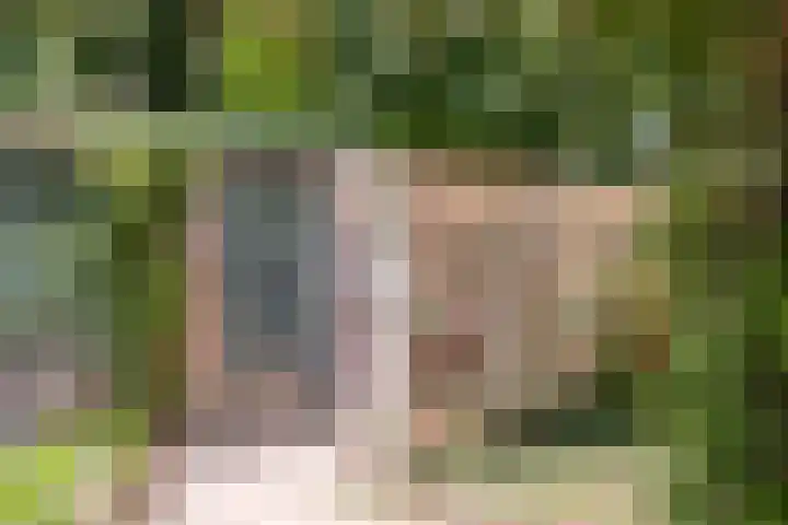 Scheidingsweg 49 Roermond thumbnail 41