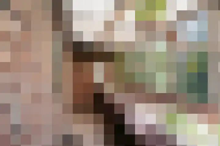 Scheidingsweg 49 Roermond thumbnail 43