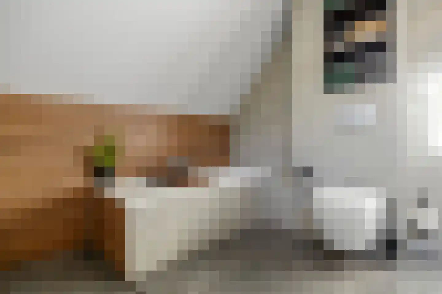 Scheidingsweg 6 Nijmegen thumbnail 17