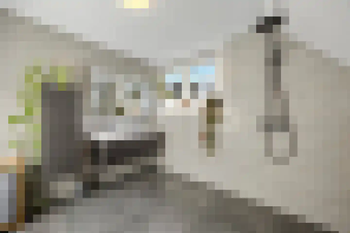 Scheidingsweg 6 Nijmegen thumbnail 18