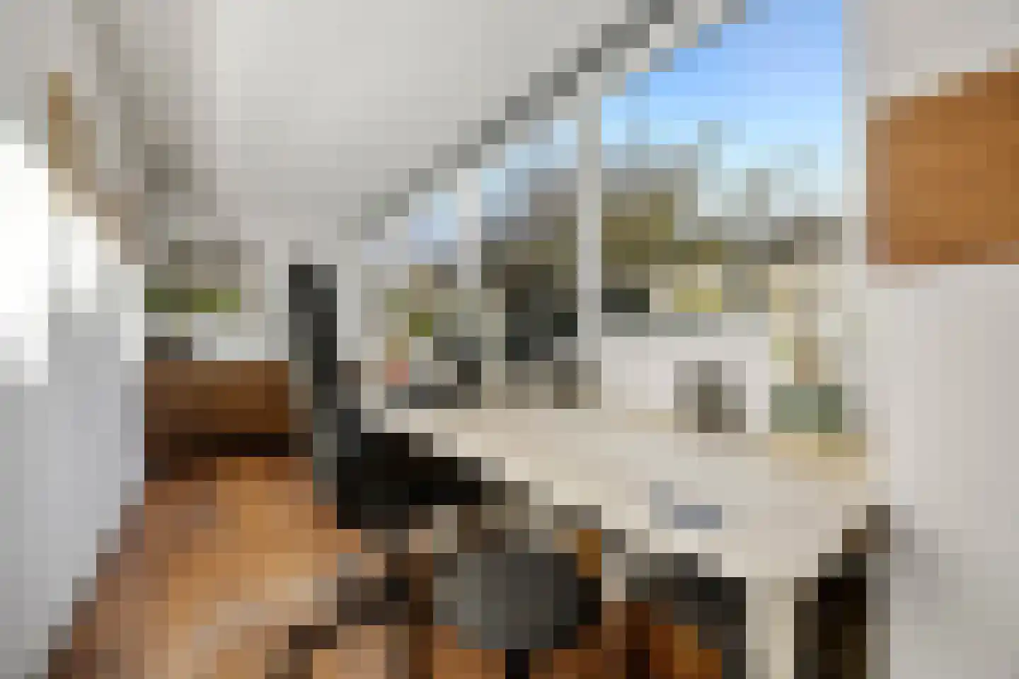 Scheidingsweg 6 Nijmegen thumbnail 21