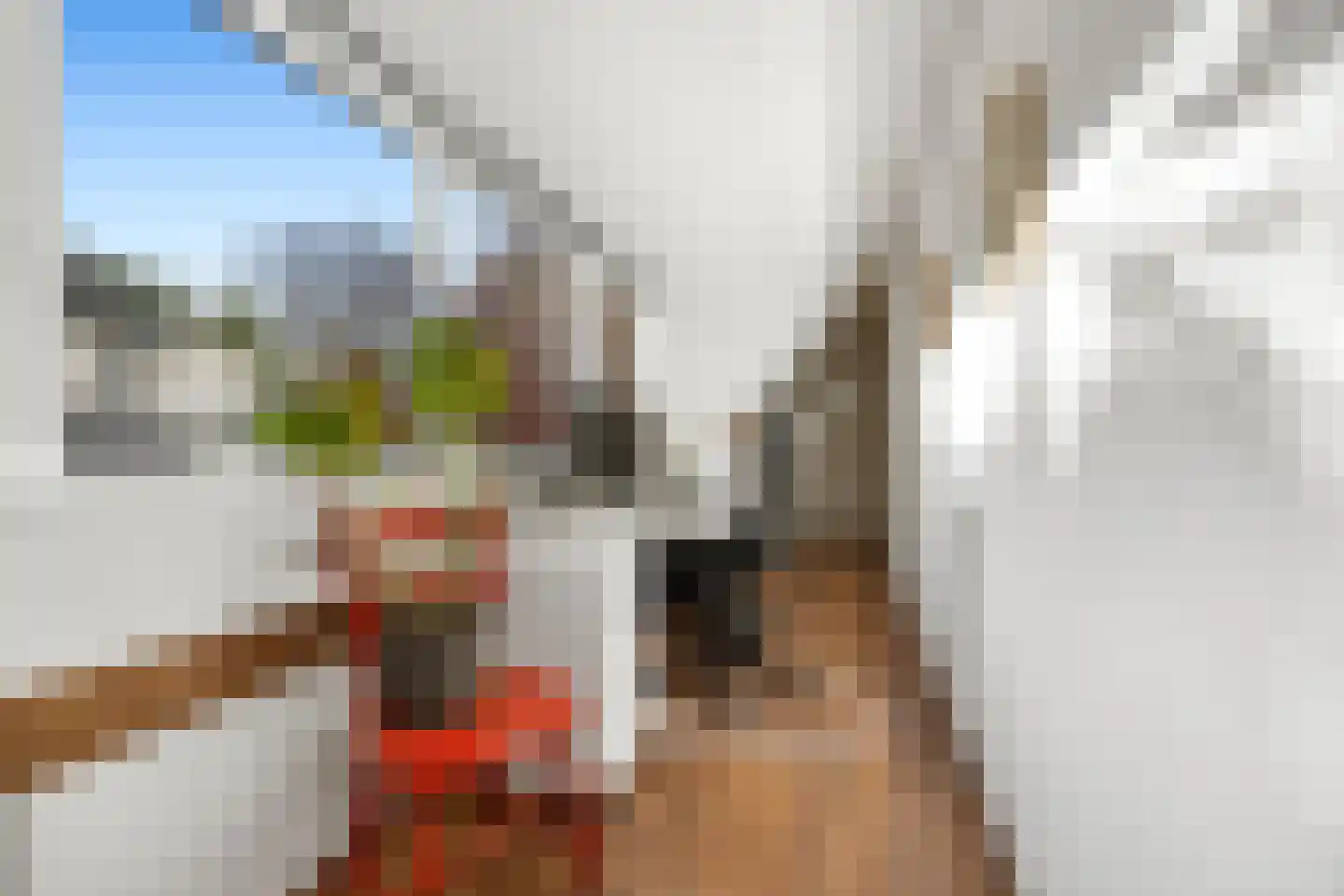 Scheidingsweg 6 Nijmegen thumbnail 22
