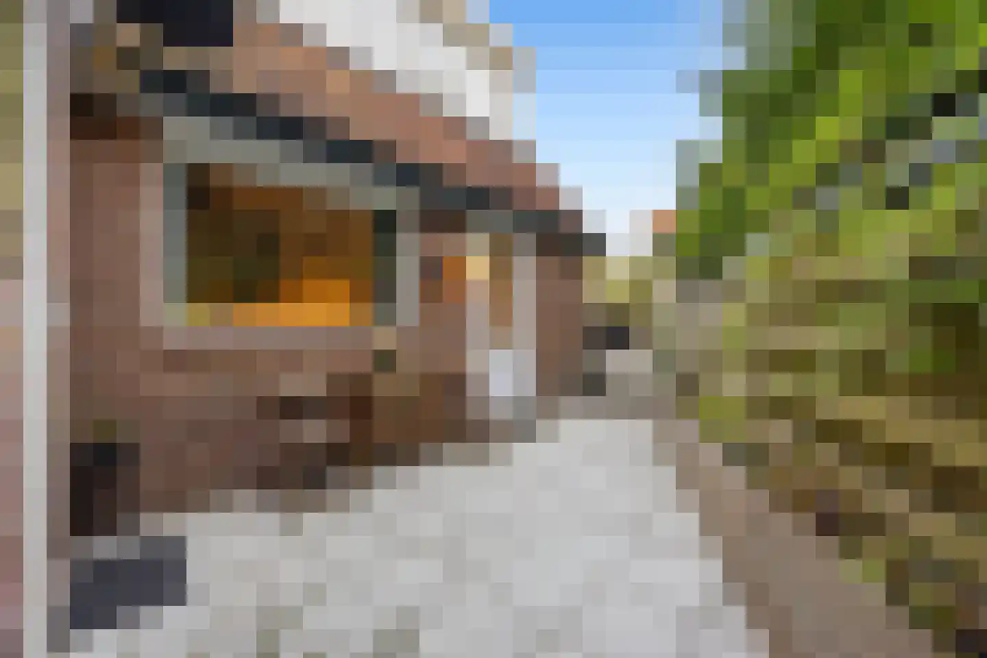 Scheidingsweg 6 Nijmegen thumbnail 24
