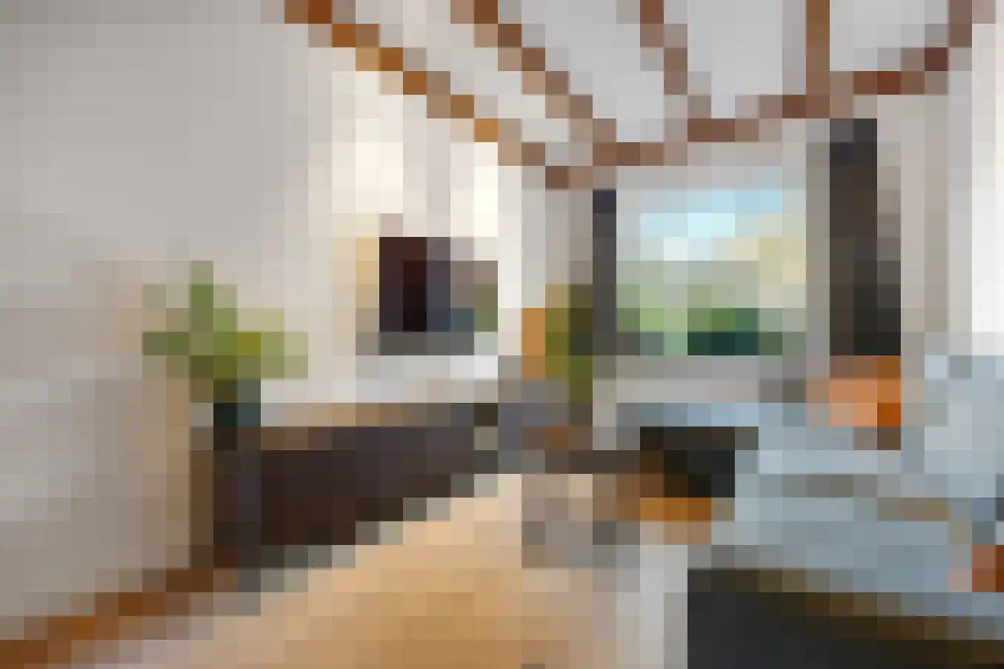 Scheidingsweg 6 Nijmegen thumbnail 4