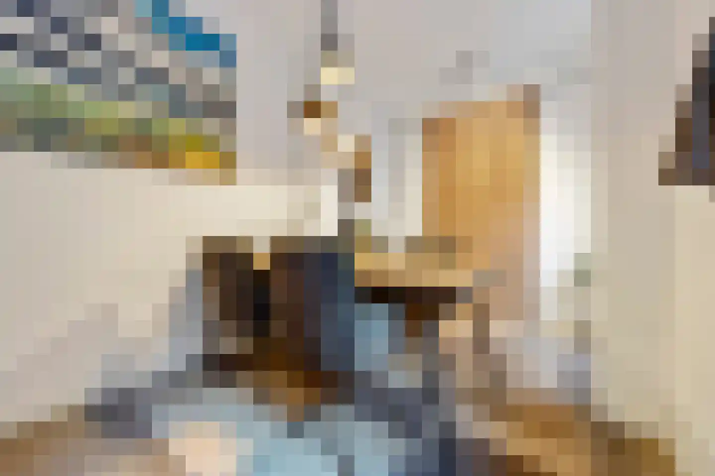 Scheidingsweg 6 Nijmegen thumbnail 9