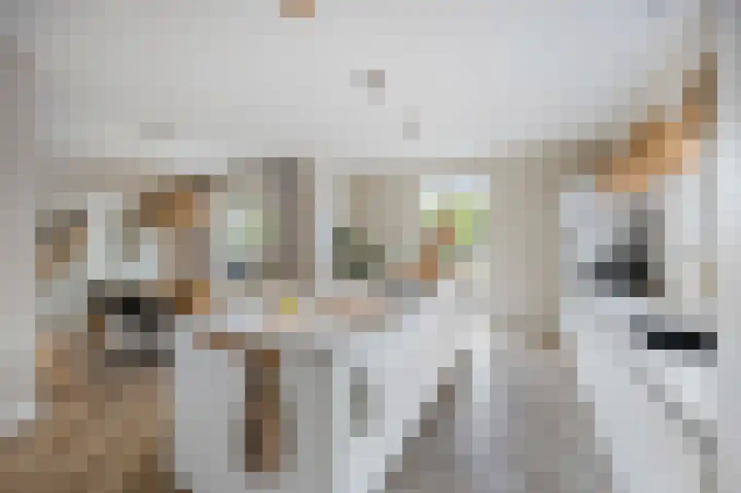 Scheidingsweg 68 Roermond thumbnail 13