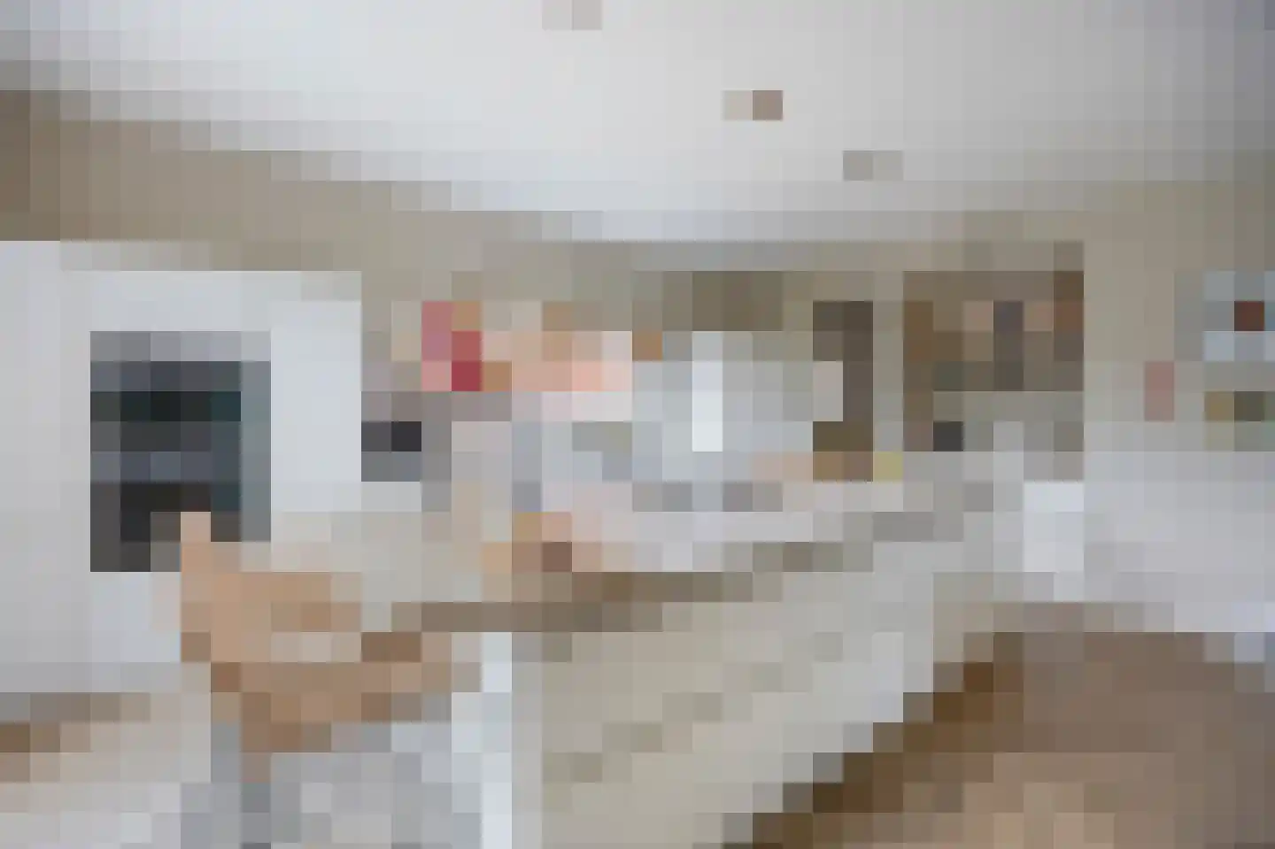 Scheidingsweg 68 Roermond thumbnail 15