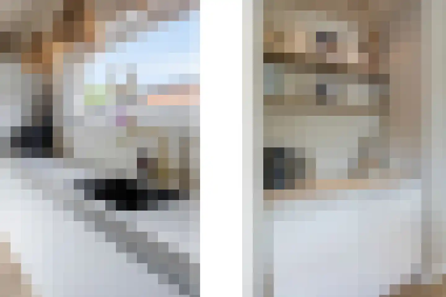 Scheidingsweg 68 Roermond thumbnail 17