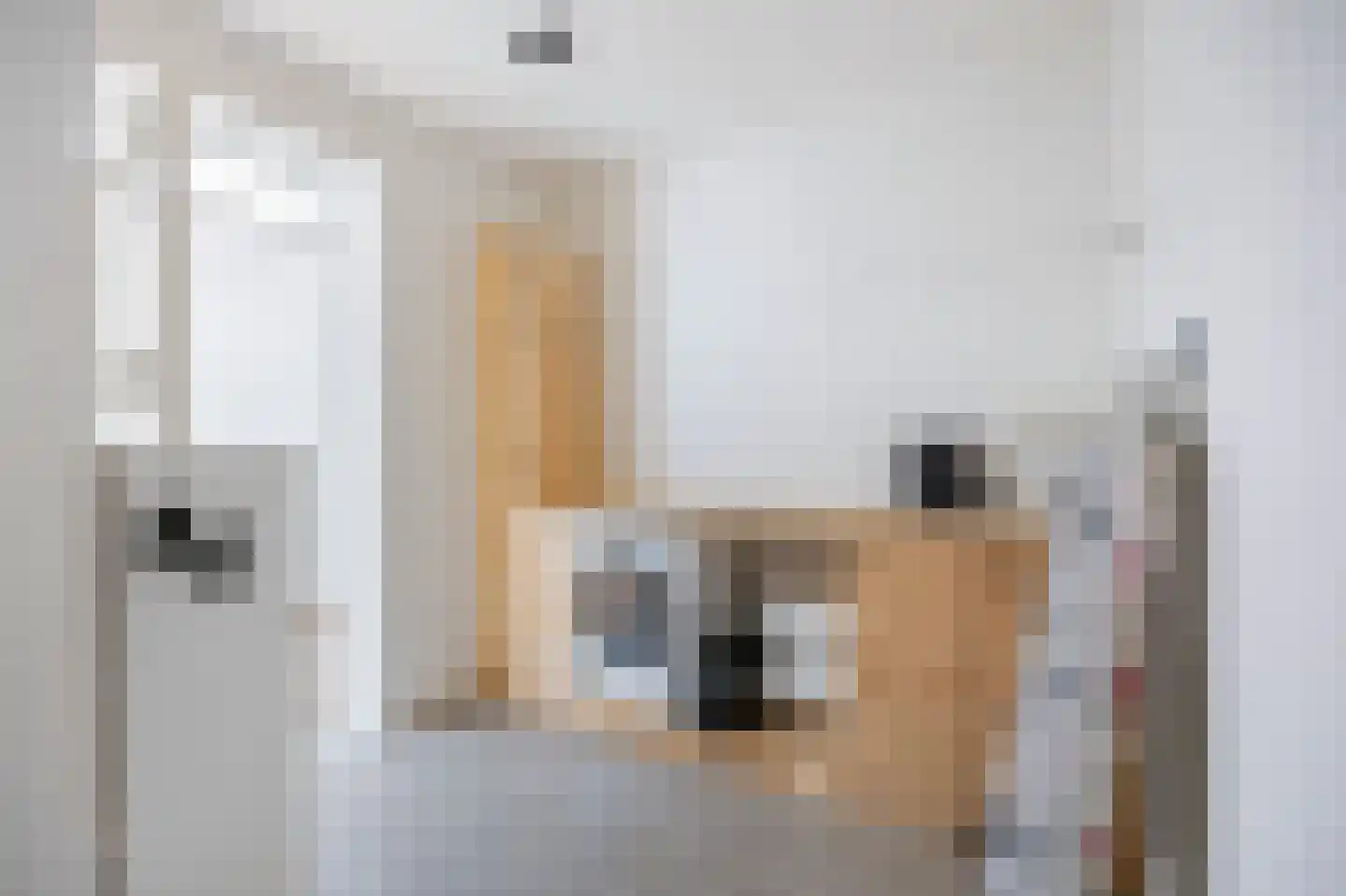 Scheidingsweg 68 Roermond thumbnail 22