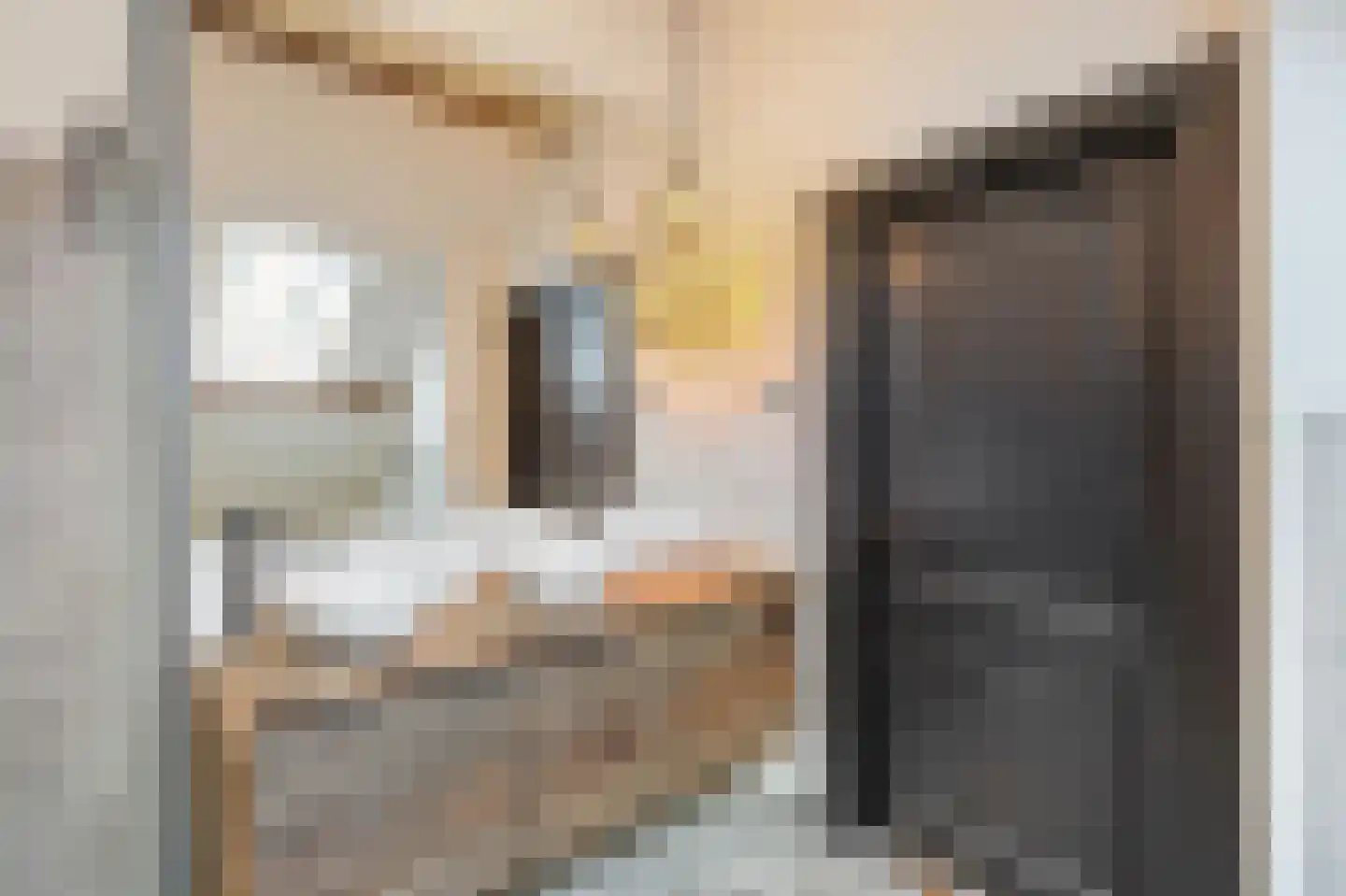 Scheidingsweg 68 Roermond thumbnail 36