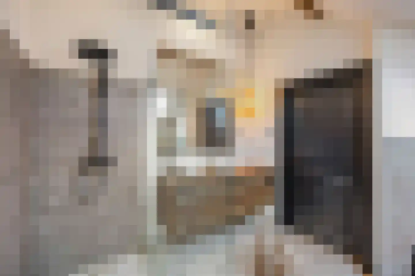Scheidingsweg 68 Roermond thumbnail 37