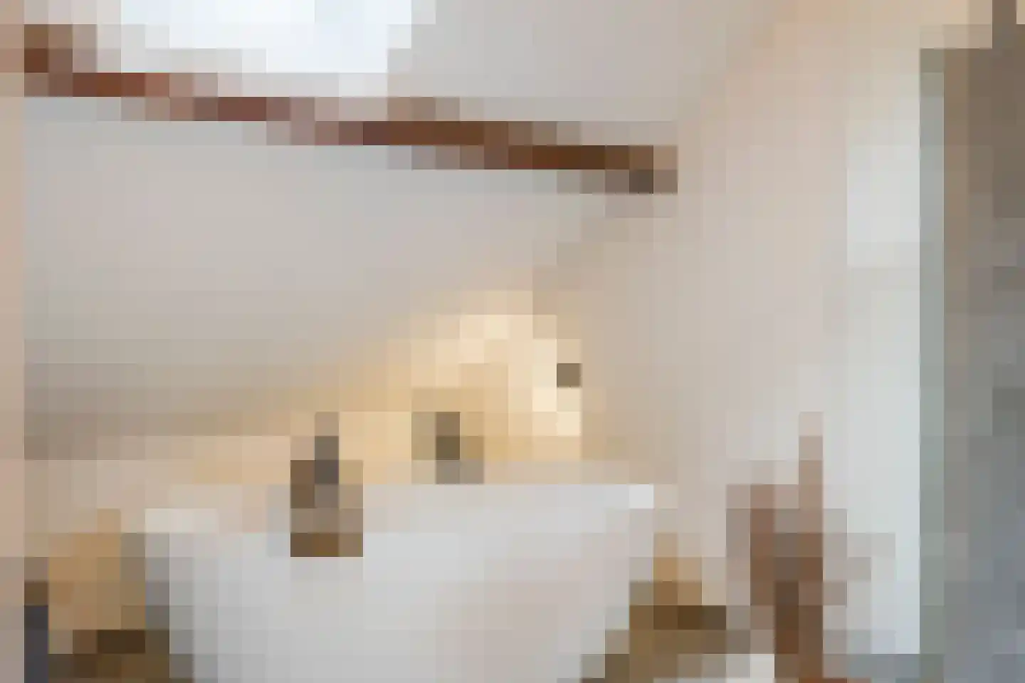 Scheidingsweg 68 Roermond thumbnail 38