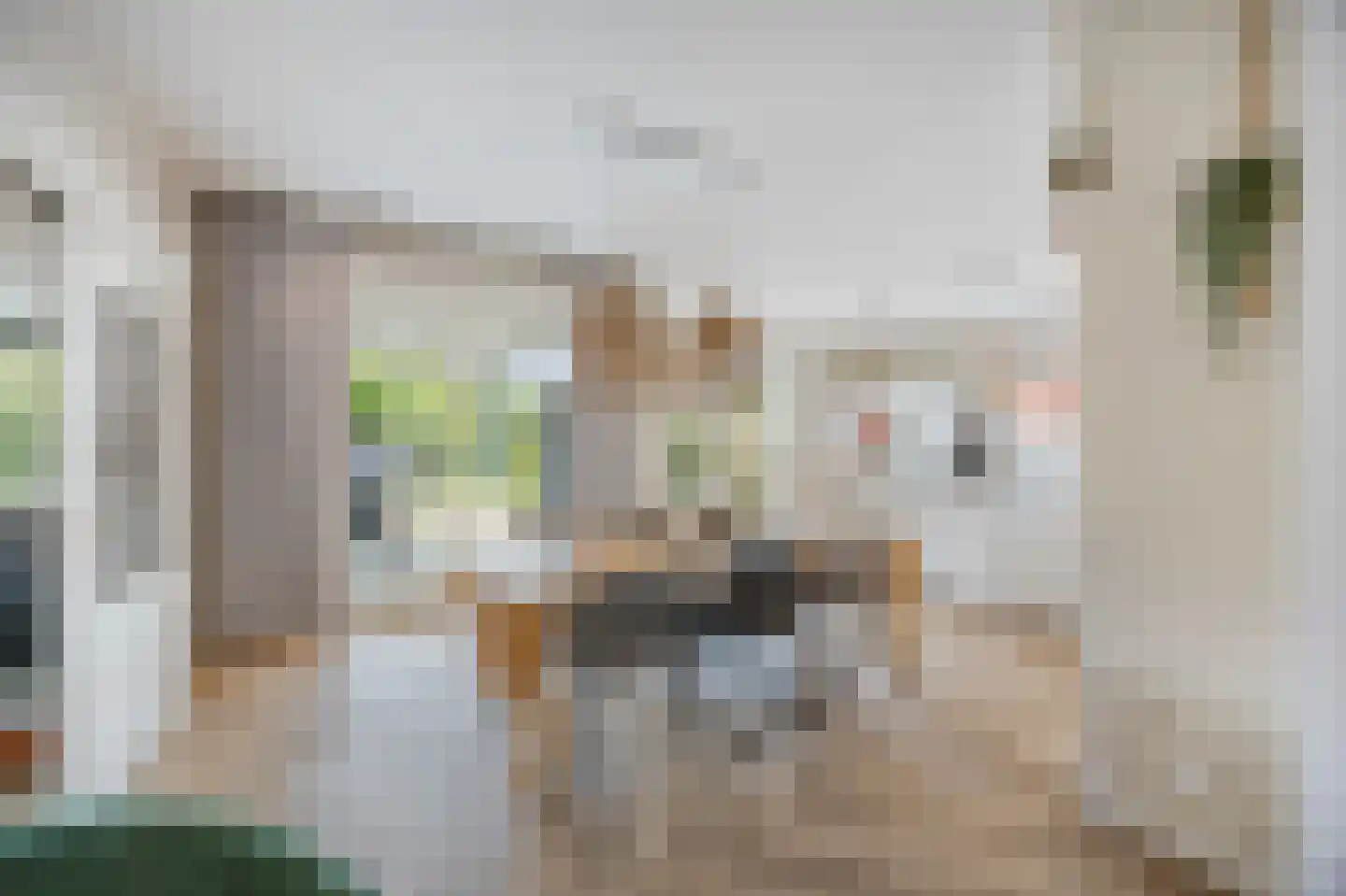 Scheidingsweg 68 Roermond thumbnail 9
