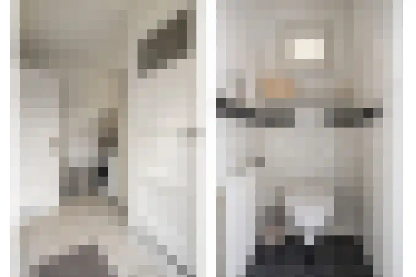 Scheidingsweg 74 Roermond thumbnail 10