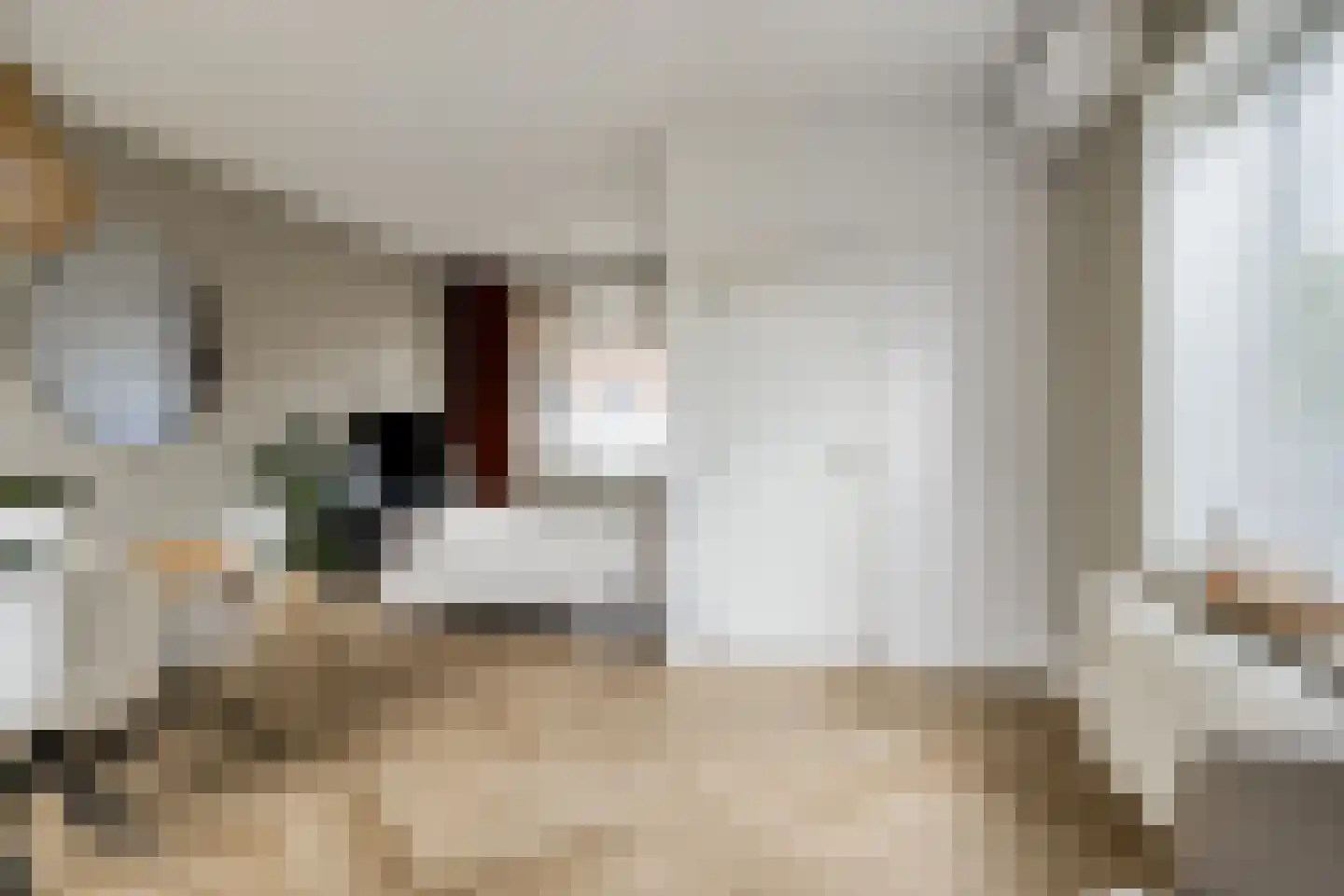 Scheidingsweg 74 Roermond thumbnail 4