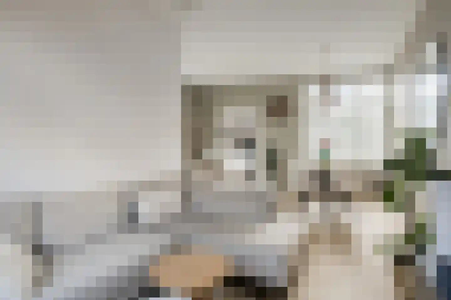 Scheidingsweg 74 Roermond thumbnail 5