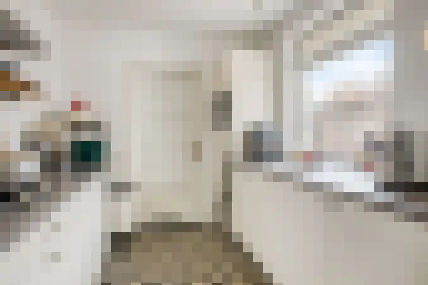 Scheidingsweg 74 Roermond thumbnail 8
