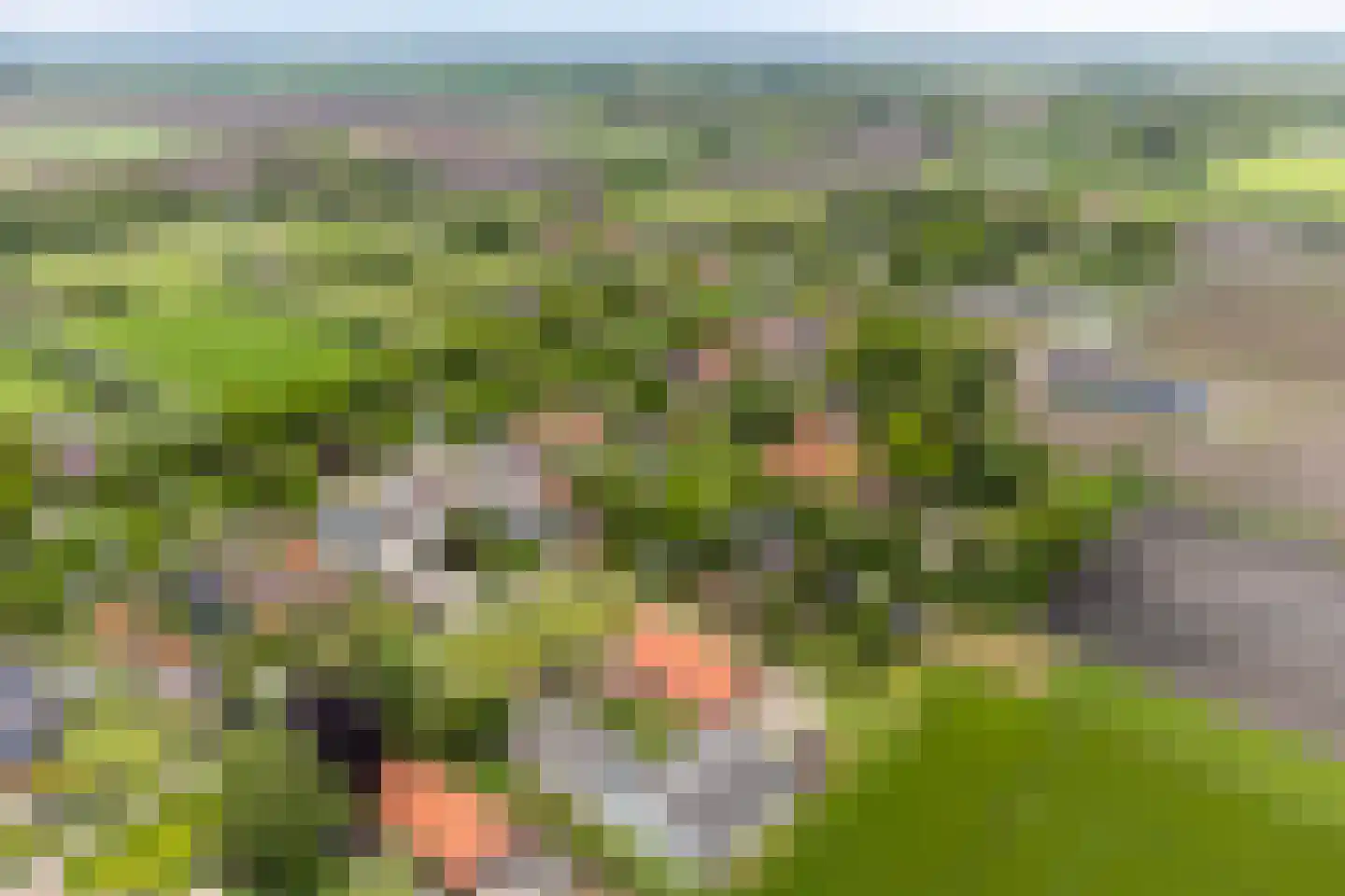 Scheidingsweg 9 Veelerveen thumbnail 10