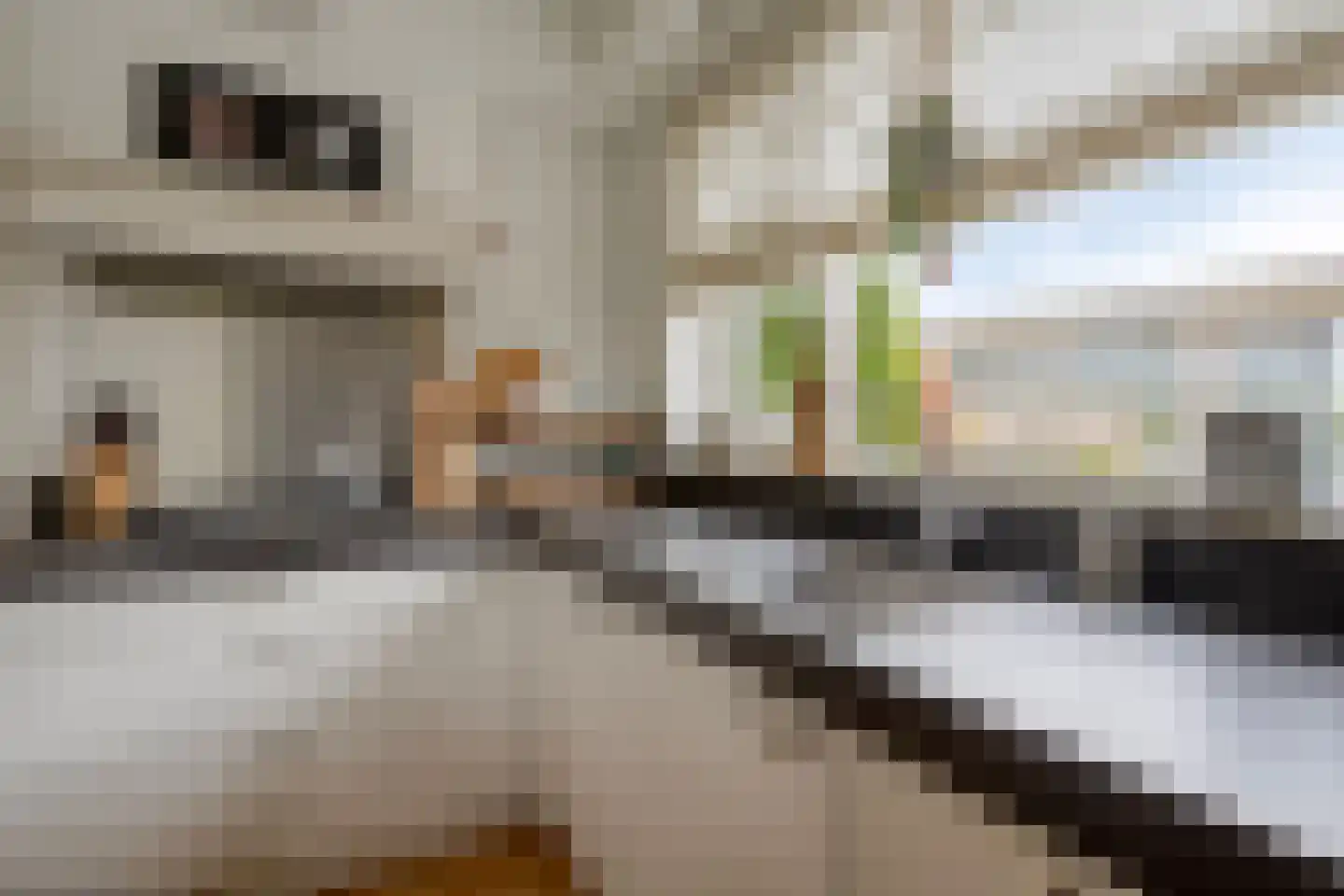 Scheidingsweg 9 Veelerveen thumbnail 30