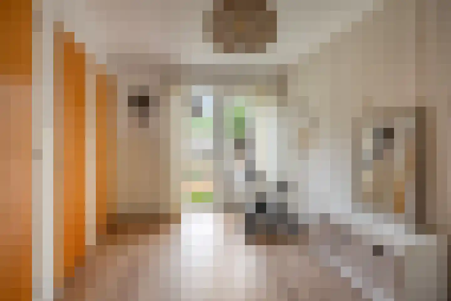 Scheidingsweg 9 Veelerveen thumbnail 40