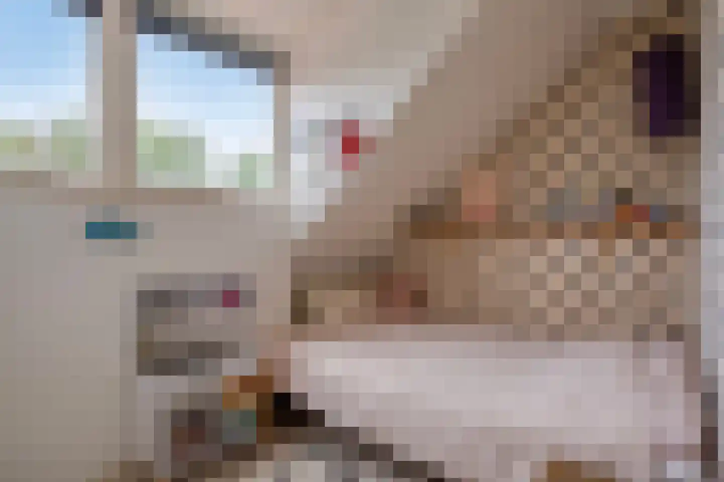 Scheidingsweg 9 Veelerveen thumbnail 44