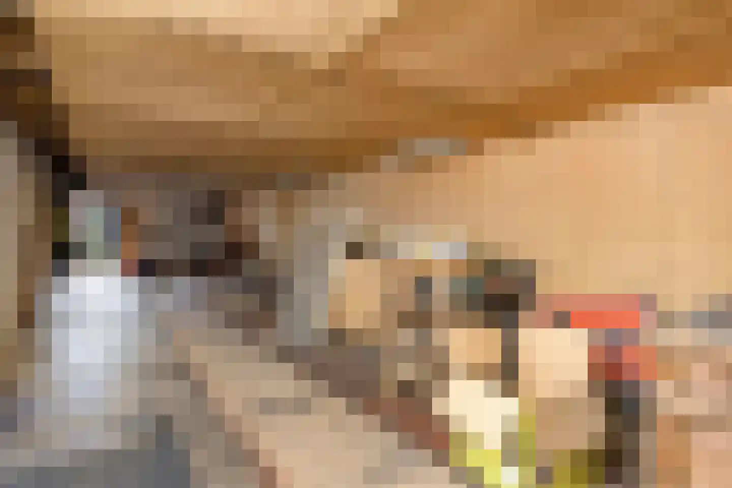 Scheidingsweg 9 Veelerveen thumbnail 45