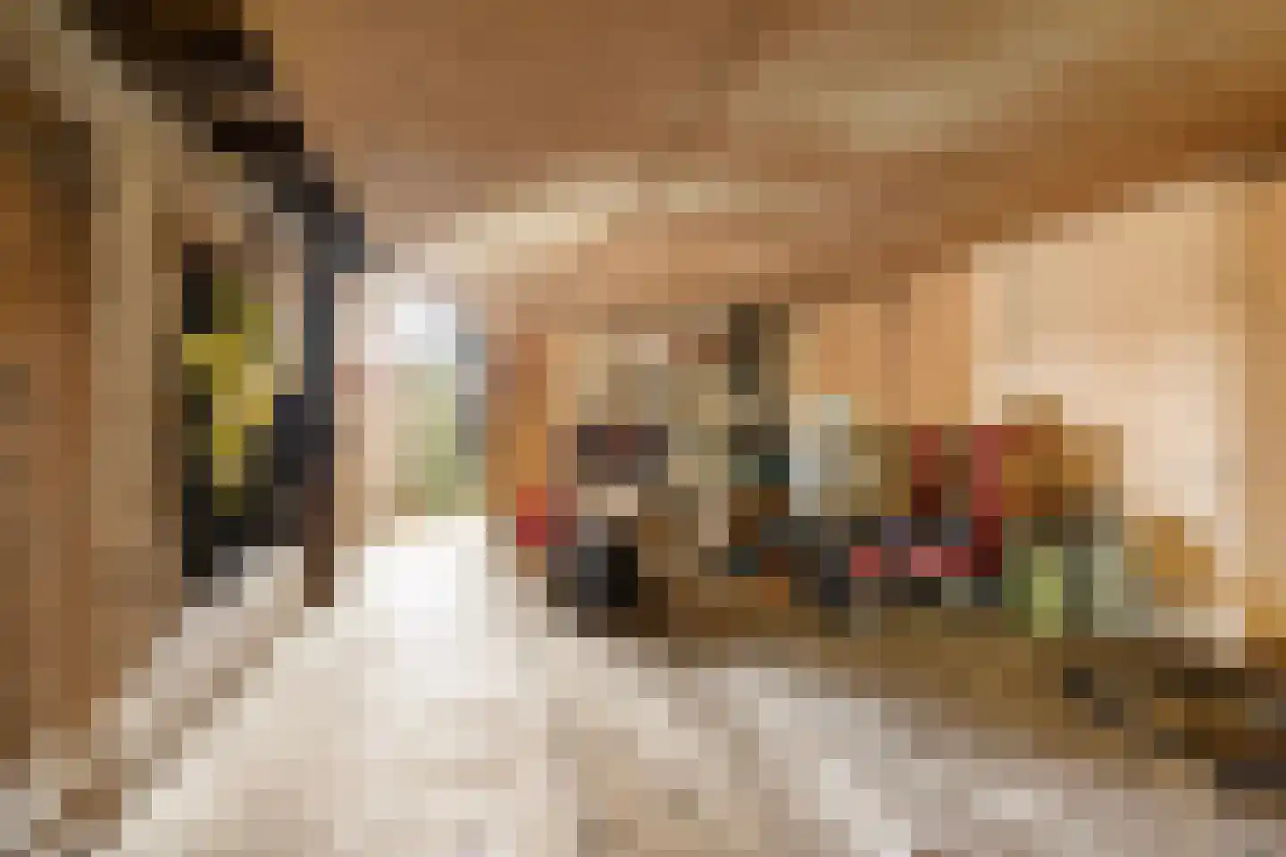 Scheidingsweg 9 Veelerveen thumbnail 46