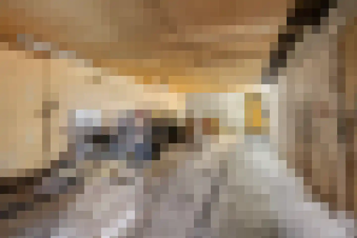 Scheidingsweg 9 Veelerveen thumbnail 49