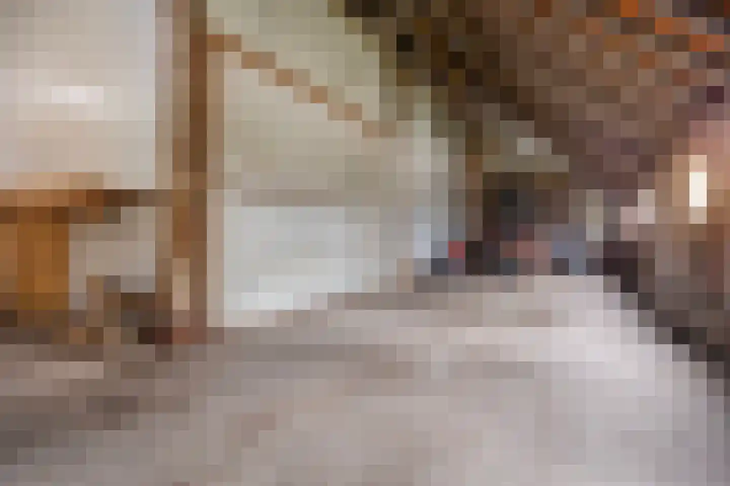Scheidingsweg 9 Veelerveen thumbnail 52