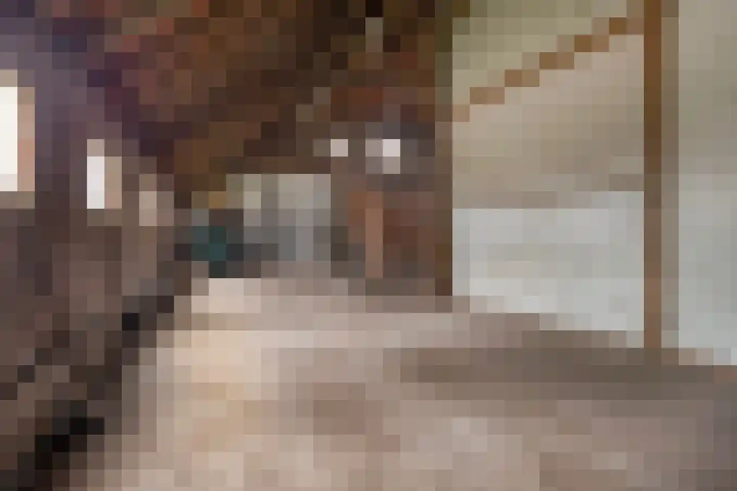 Scheidingsweg 9 Veelerveen thumbnail 54