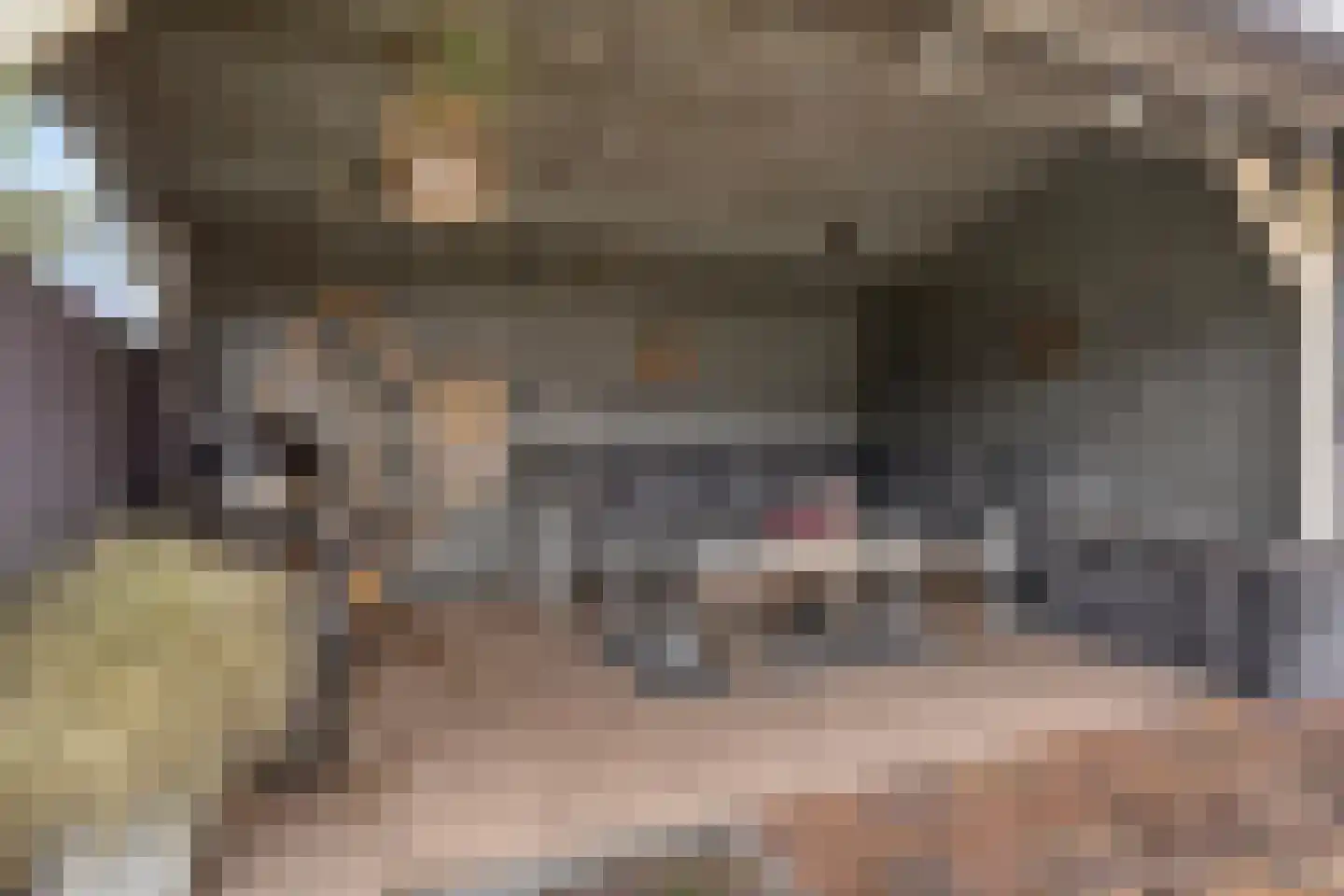Scheidingsweg 9 Veelerveen thumbnail 58