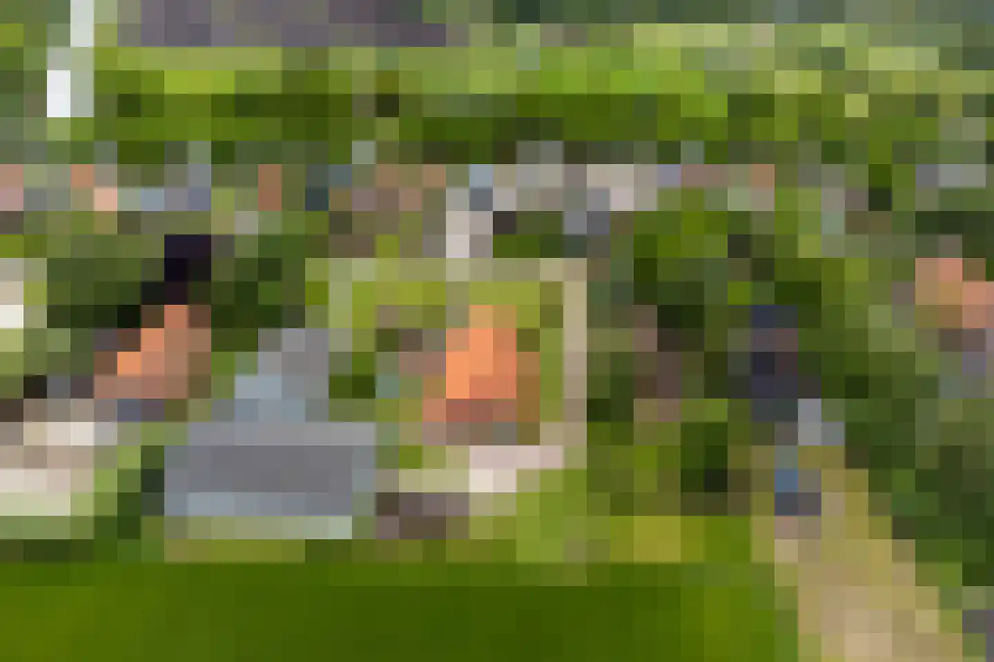 Scheidingsweg 9 Veelerveen thumbnail 6