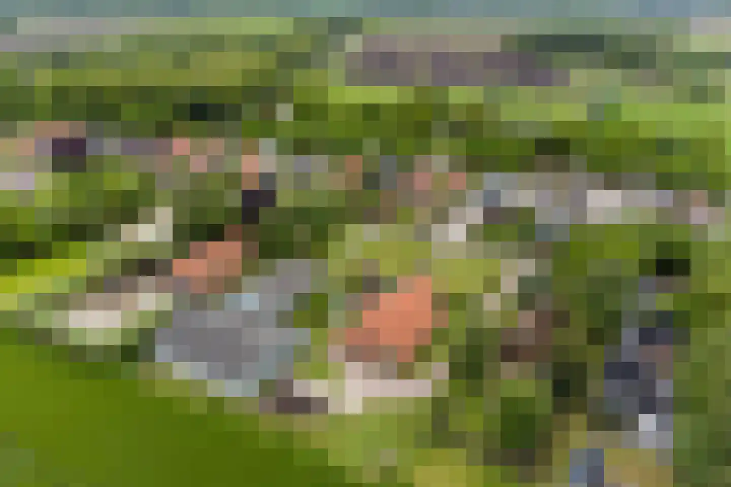 Scheidingsweg 9 Veelerveen thumbnail 7