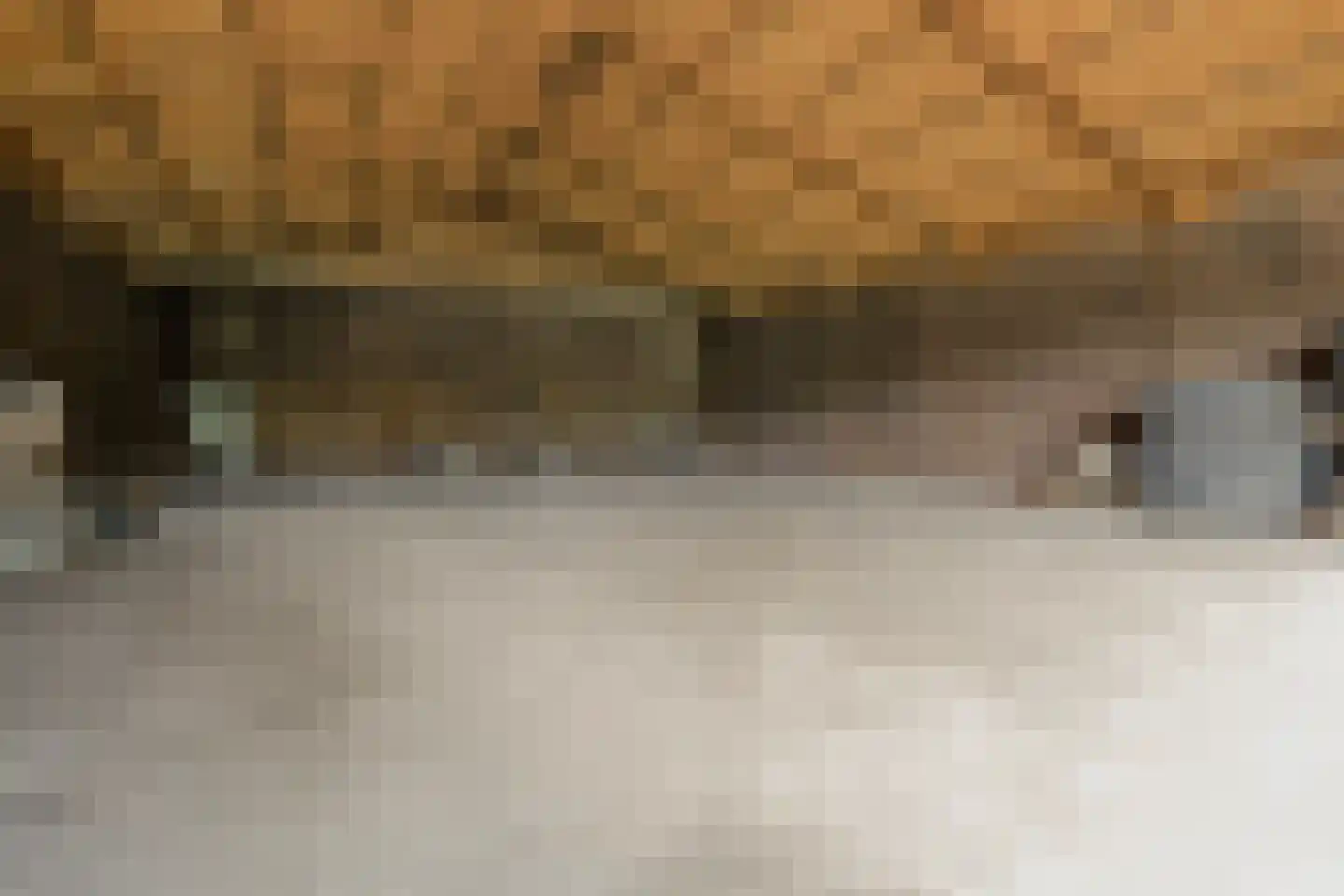 Scheidingsweg 9 Veelerveen thumbnail 71