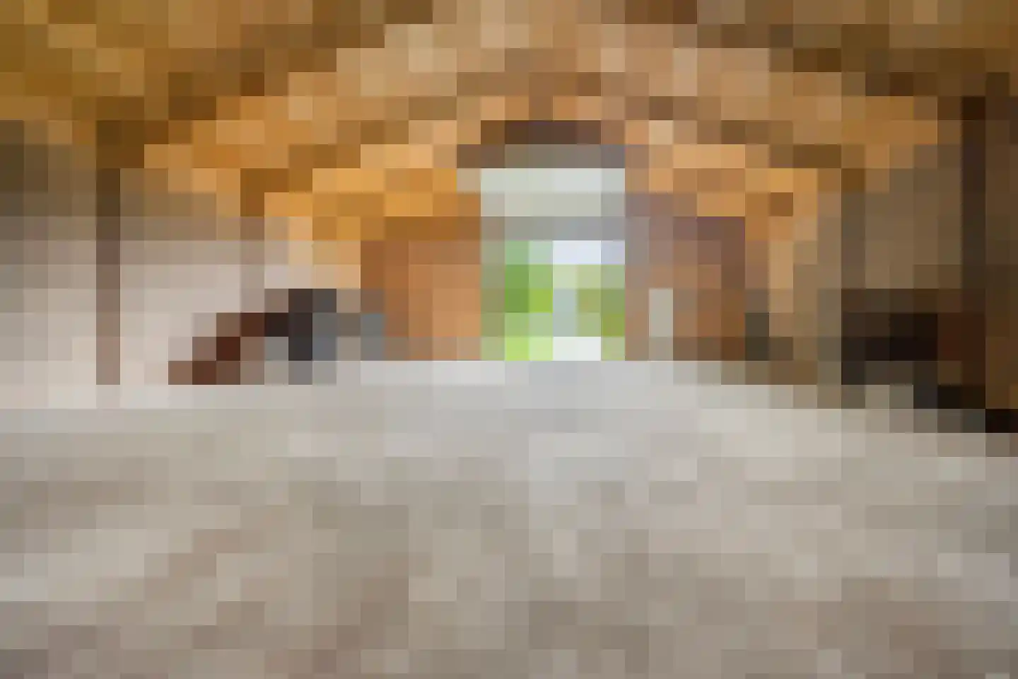 Scheidingsweg 9 Veelerveen thumbnail 72