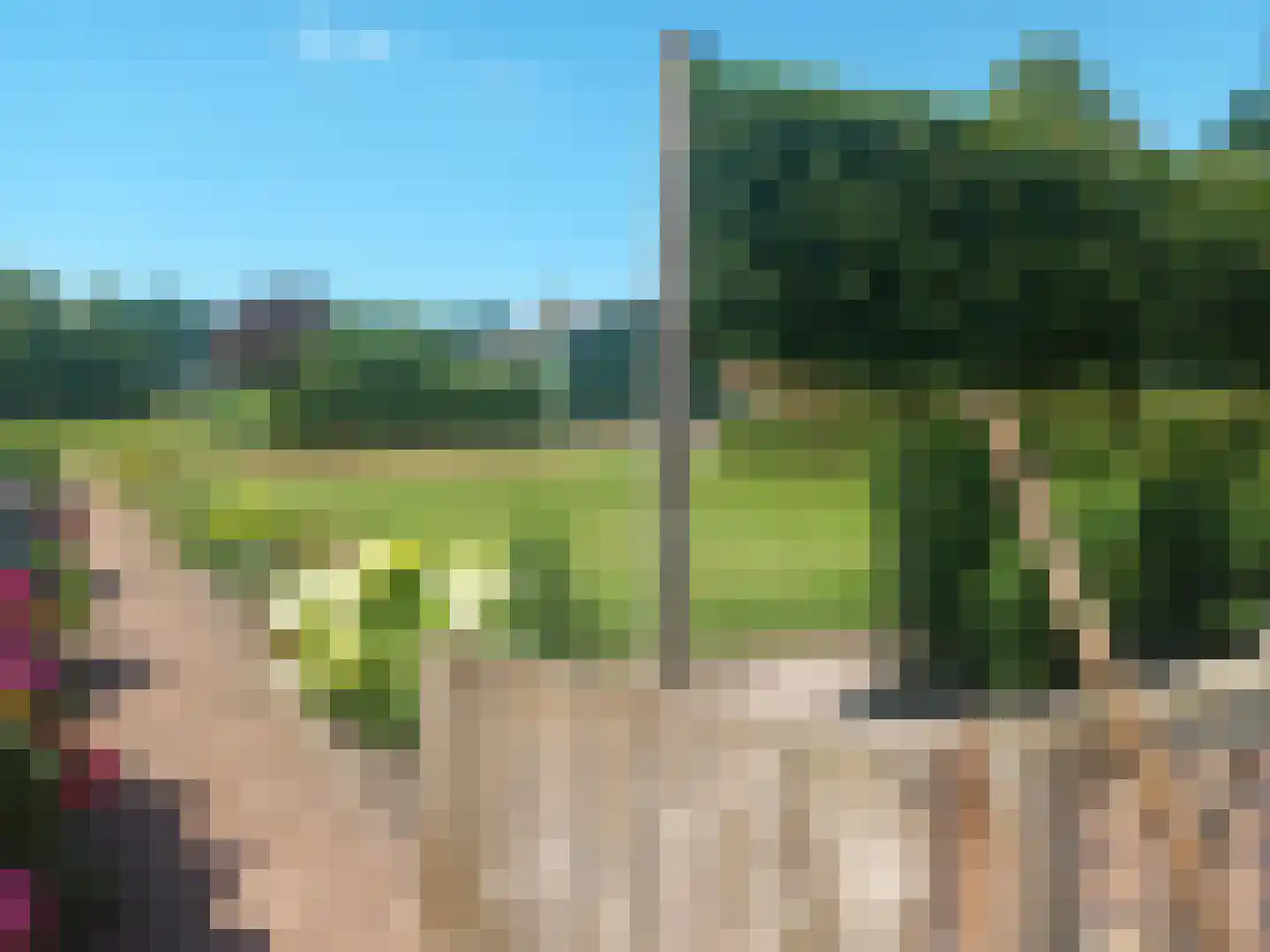 Scheidingsweg 9 Veelerveen thumbnail 73