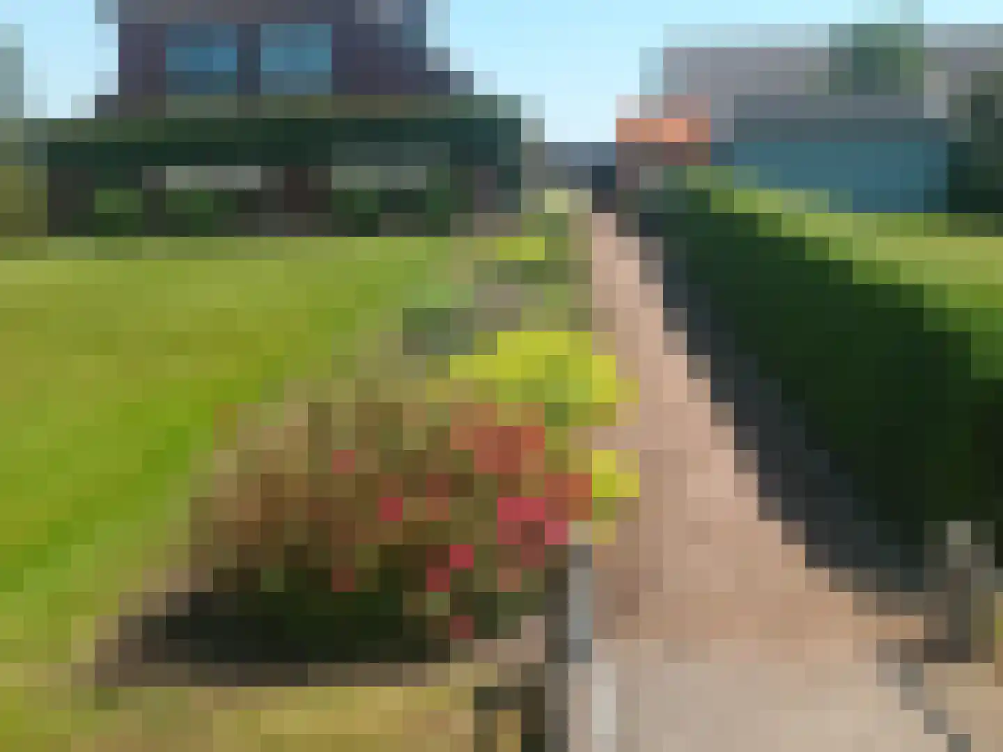Scheidingsweg 9 Veelerveen thumbnail 74