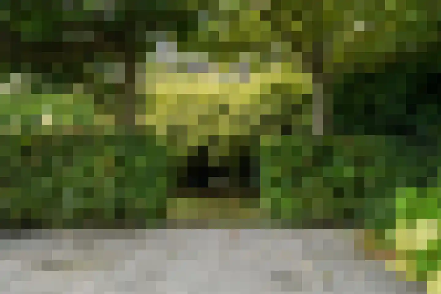 Scheidiuslaan 27 Arnhem thumbnail 15