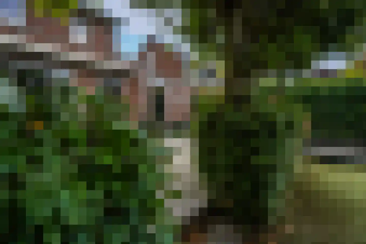 Scheidiuslaan 27 Arnhem thumbnail 16