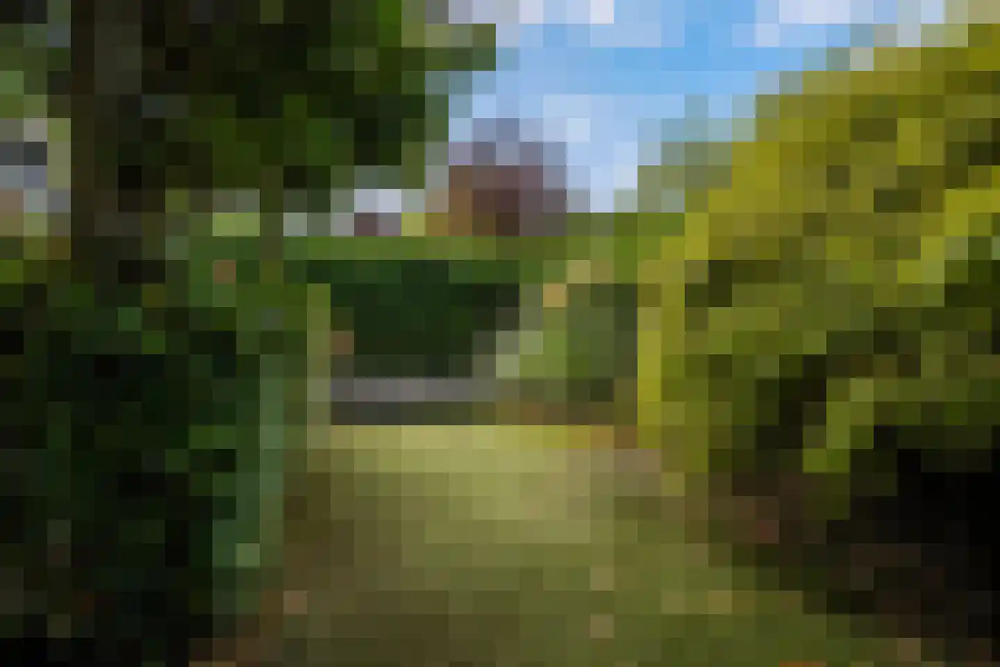 Scheidiuslaan 27 Arnhem thumbnail 17