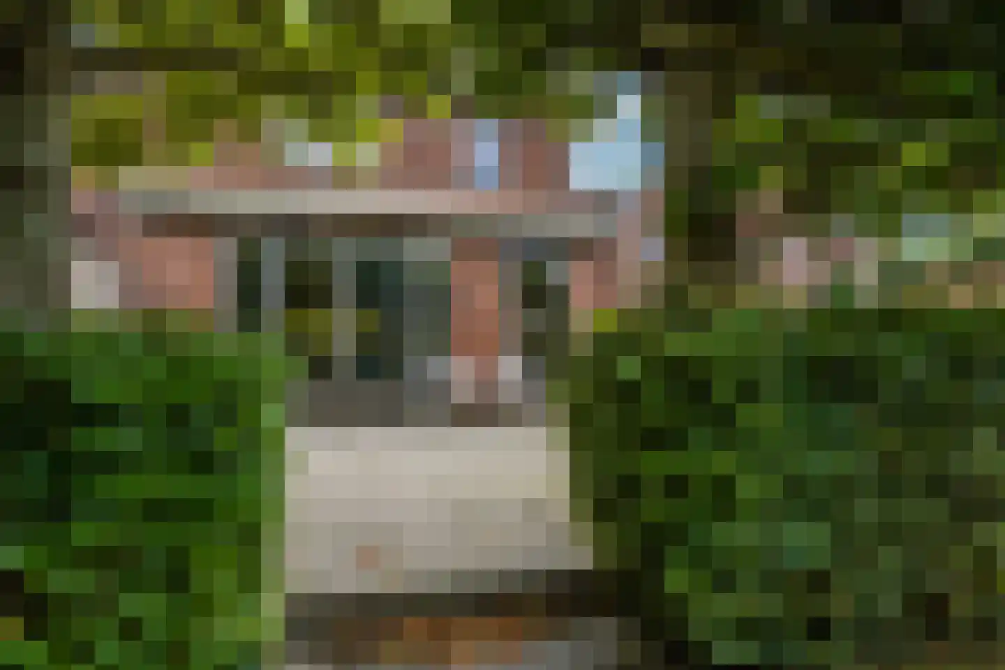 Scheidiuslaan 27 Arnhem thumbnail 18